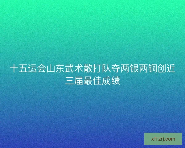 十五运会山东武术散打队夺两银两铜创近三届最佳成绩